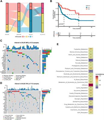 m6A regulator-based methylation modification patterns and characterization of tumor microenvironment in acute myeloid leukemia